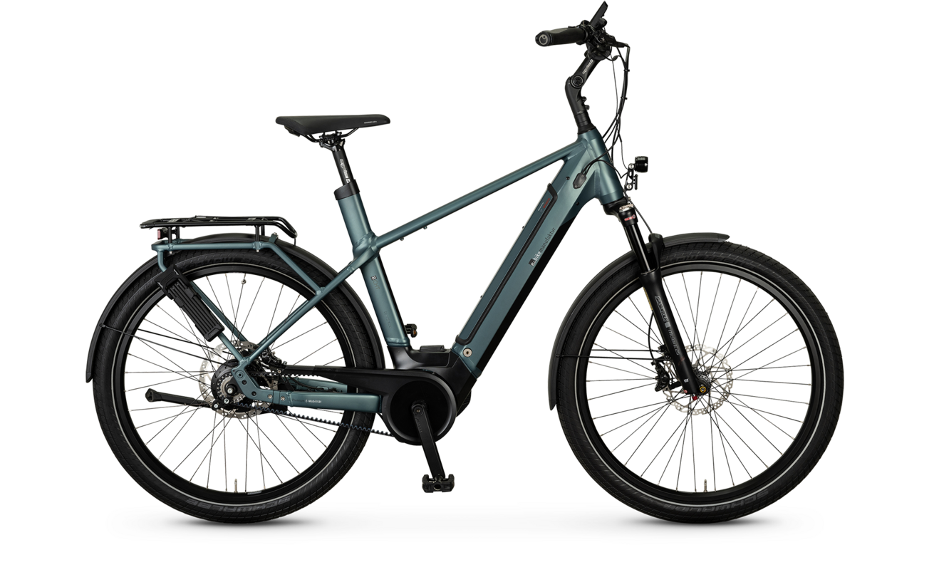 Ebike bosch performance line sale