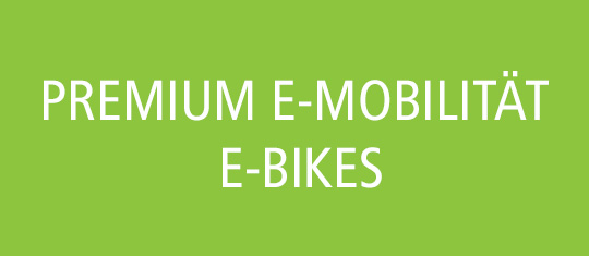 e-bike manufaktur E-Mobilität