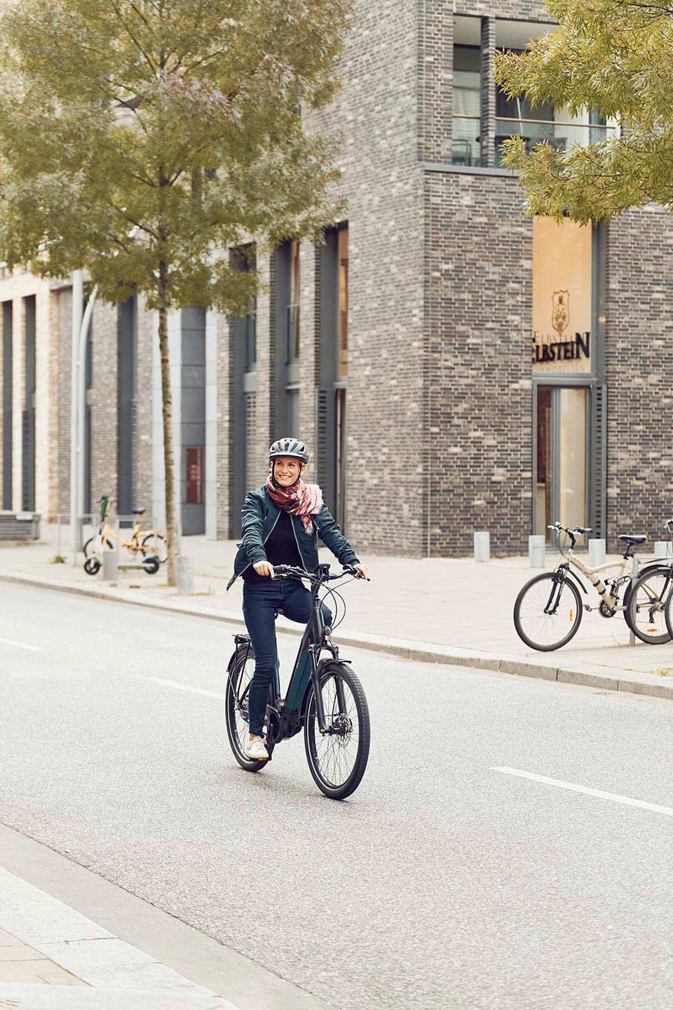 Handbuch Fahrrad und E-Bike. Alles zu Ausstattung, Technik und Zubehör. |  Jetzt online kaufen bei Frölich&Kaufmann